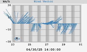 Wind Vector