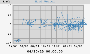 Wind Vector